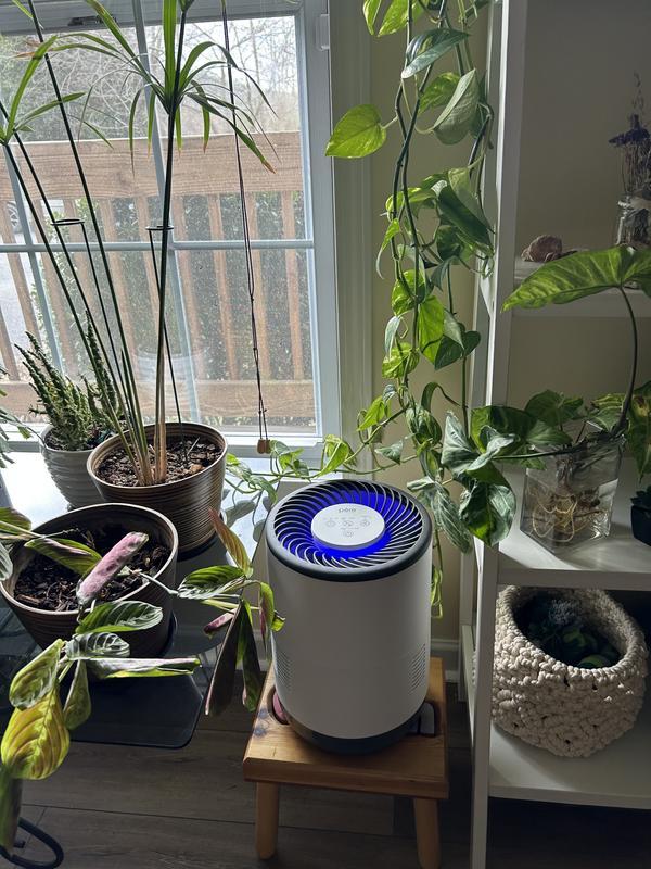 The only thing keeping my plants alive in the winter!