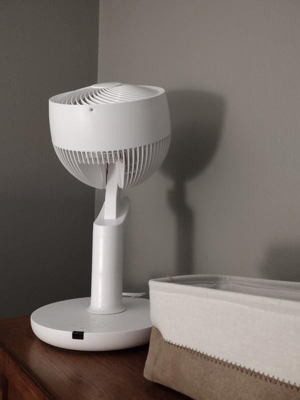 Nice fan