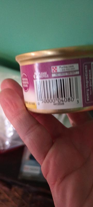 Review photo 2.