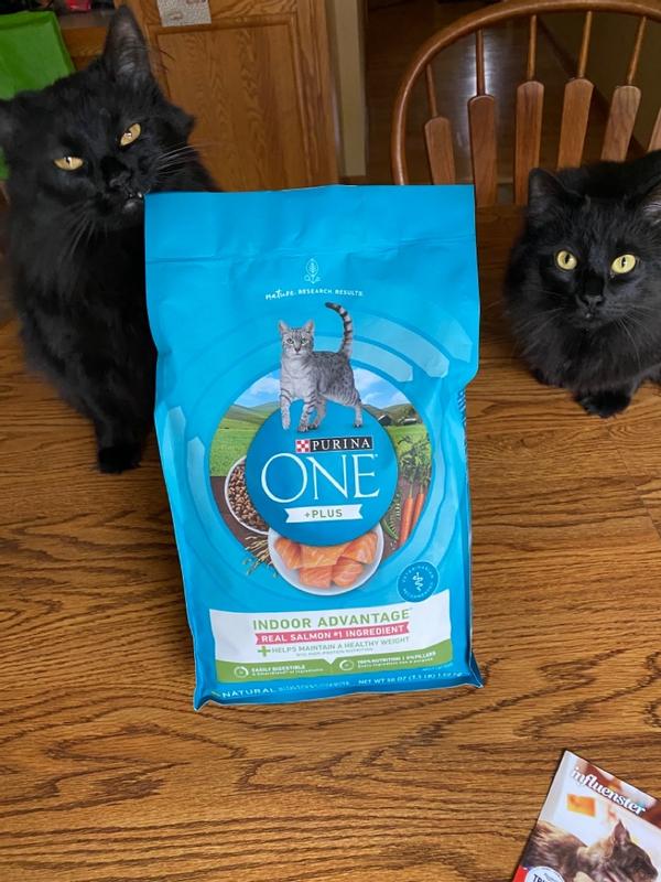 Purina ONE Indoor Advantage Hairball Healthy Weight Formula Dry