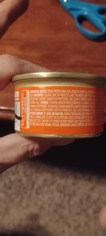 Review photo 2.