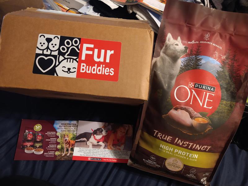 Purina ONE Natural High Protein Dry Dog Food True Instinct With Real Chicken Duck 15 lb. Bag Meijer