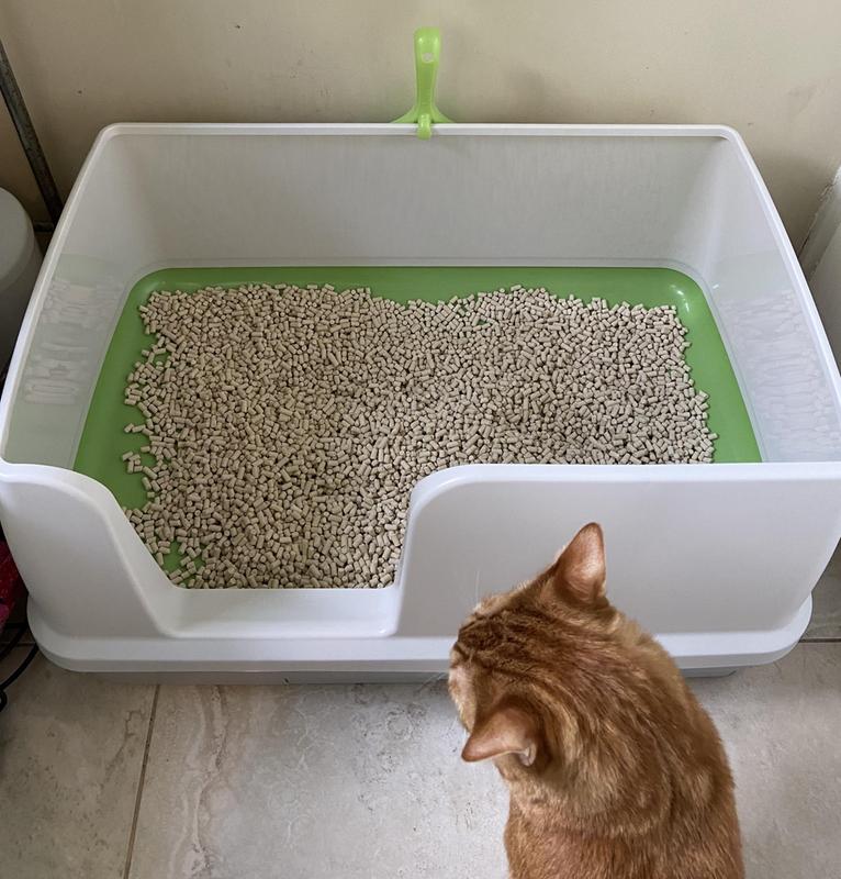 Tidy Cat Breeze Cat Litter System Petsense