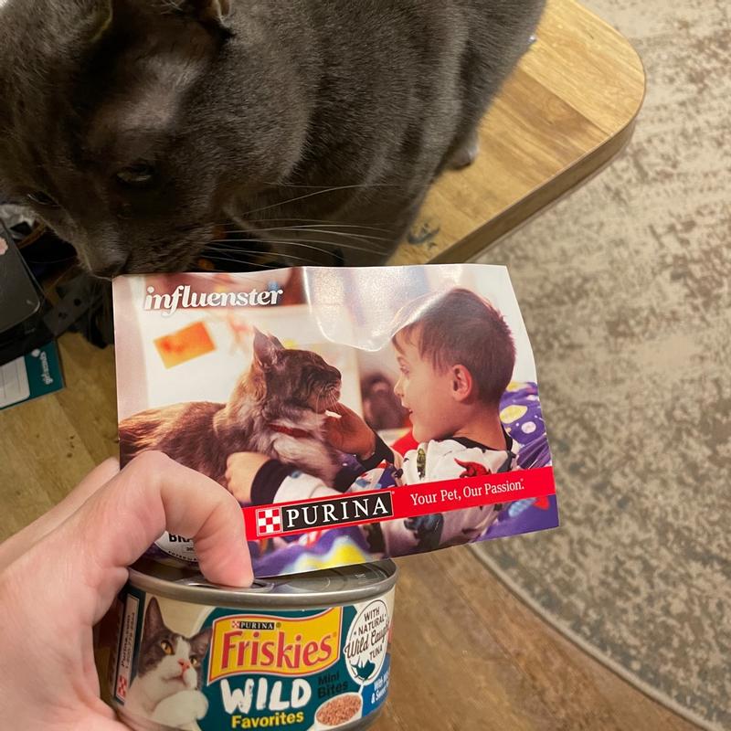 Purina Friskies Wet Cat Food Wild Favorites With Wild Caught Tuna