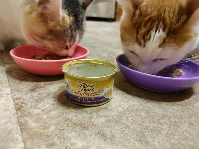 Purina Fancy Feast Gravy Wet Cat Food Delights Grilled Turkey