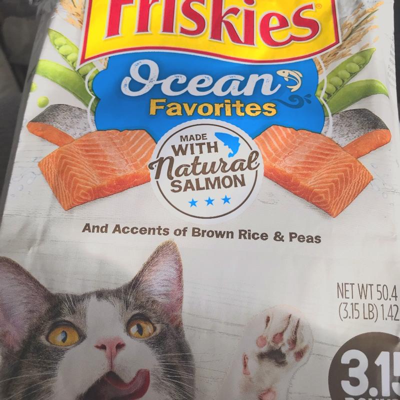 Purina Friskies Dry Cat Food Ocean Favorites With Natural Salmon