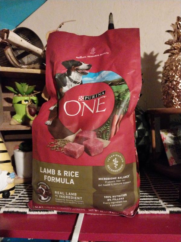 Is purina one lamb and outlet rice good for dogs