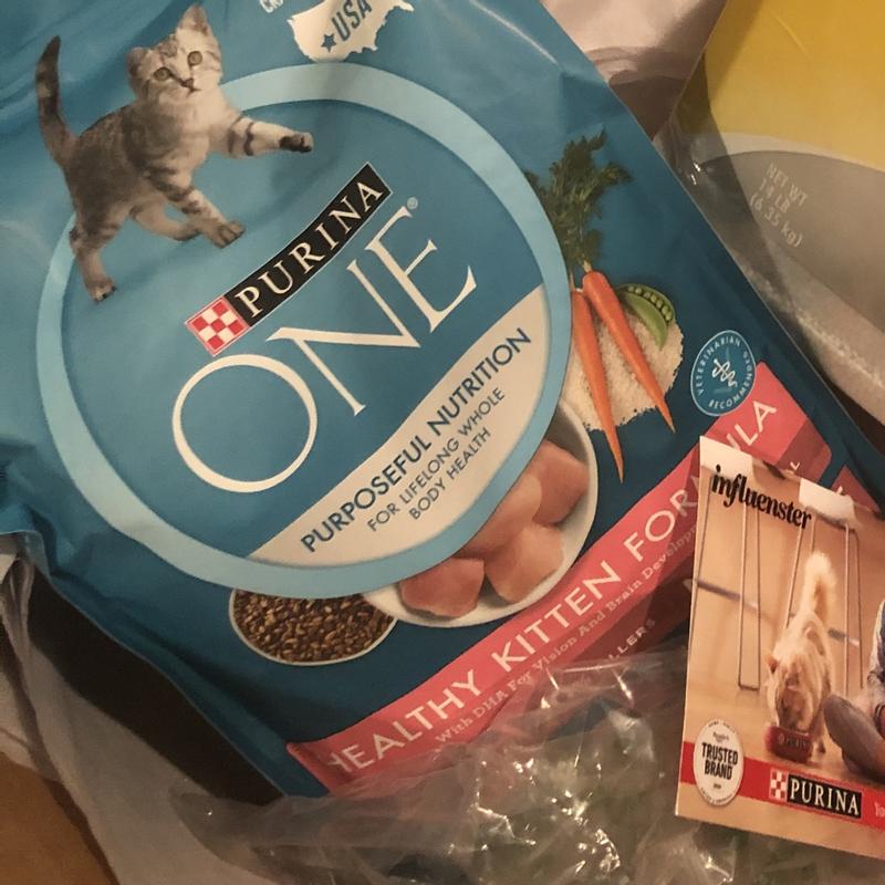 Purina ONE High Protein Natural Dry Kitten Food Plus Healthy