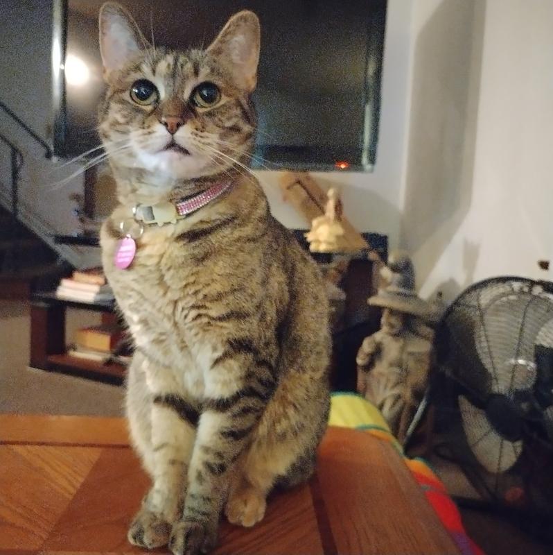 Miss Jasmine approves!