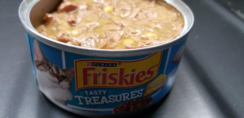 Friskies tasty best sale treasures with cheese