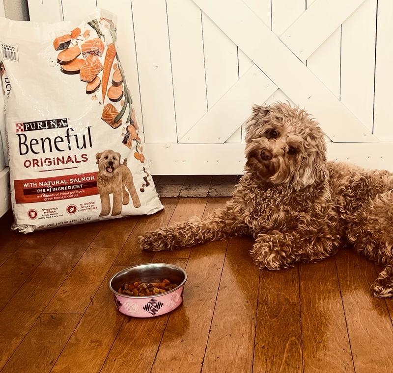 Beneful salmon clearance dog food ingredients