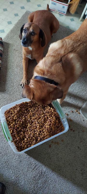 Where are the chicken bites?!