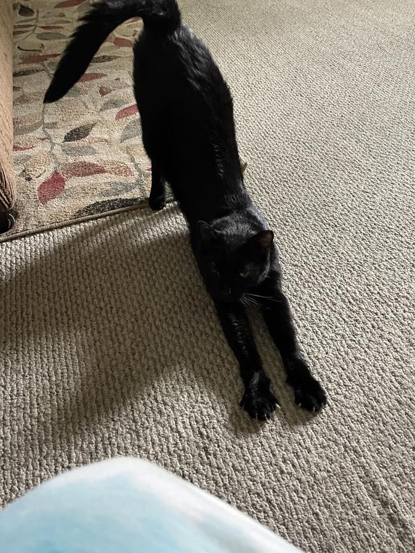 He is strengthening!!