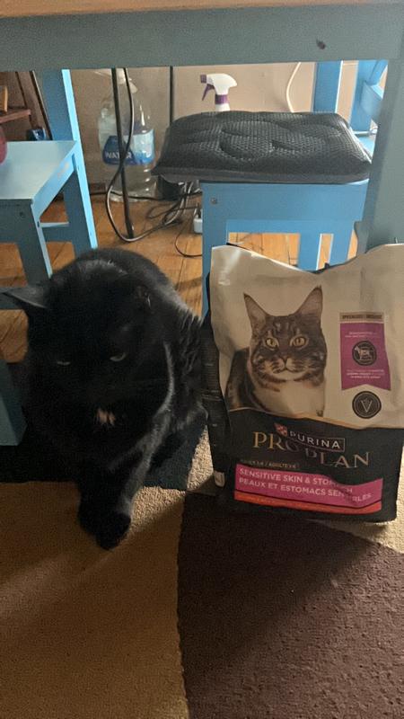 Review photo 1.
