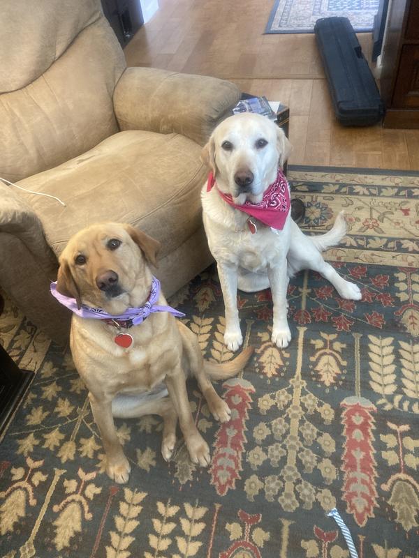 Annie and Daisy.