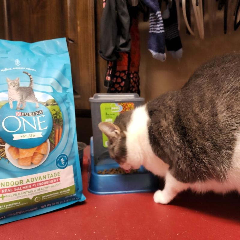 Purina ONE Plus Indoor Advantage With Real Salmon No. 1