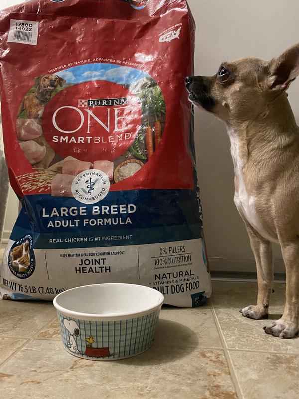 Purina one smartblend large breed adult best sale