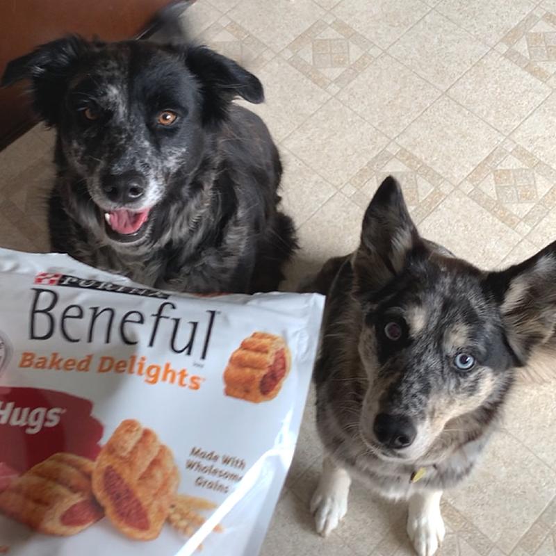 Purina beneful baked store delights