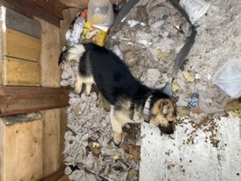 In three days or two he died