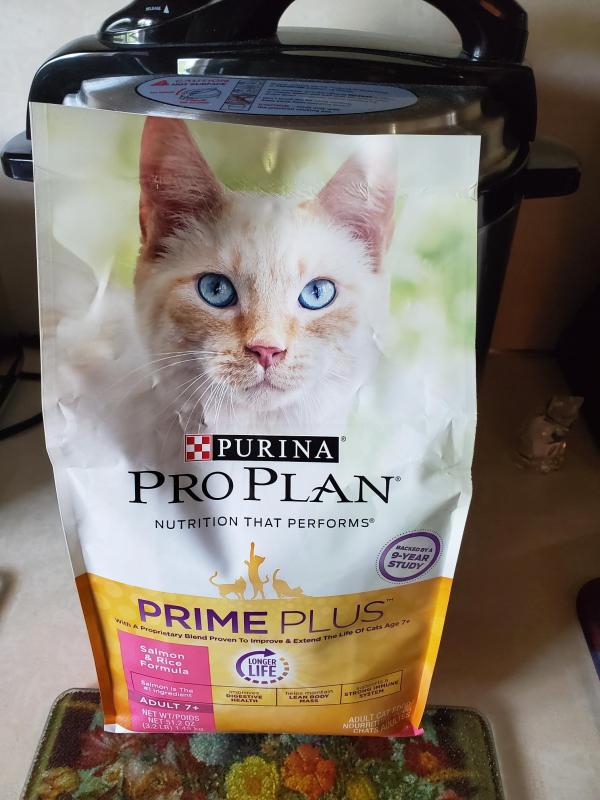 Purina Pro Plan Prime Plus Chicken Rice Formula Senior Dry Cat Food Petsense