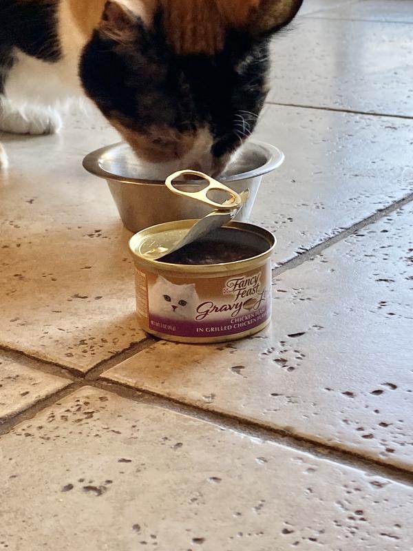 Fancy Feast 3 oz Gravy Lovers Chicken Feast in Gravy Cat Food