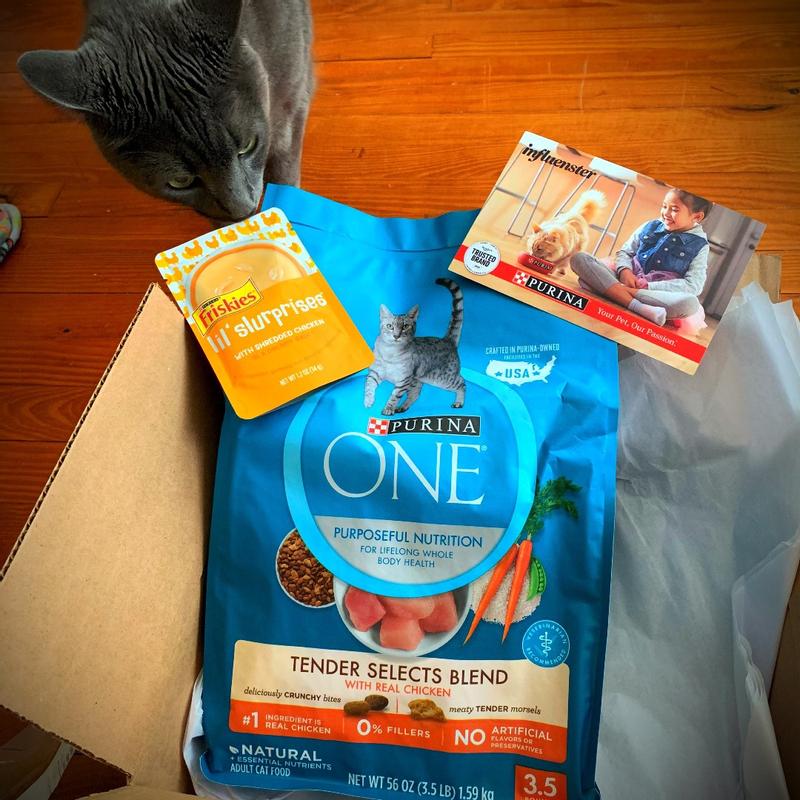 Purina Friskies Cat Food Complement Lil Slurprises Pet