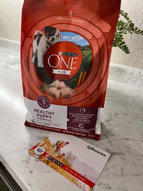 Purina ONE Plus Healthy Puppy Formula High Protein Natural Dry Puppy Food with added vitamins minerals and nutrients 16.5 lb. Bag Meijer