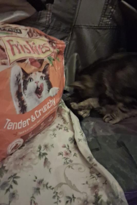 Review photo 4.
