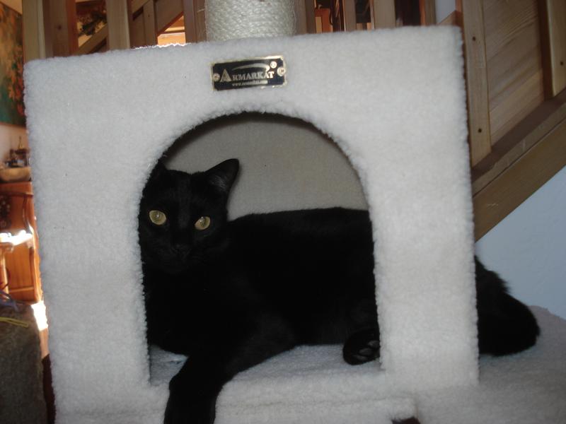 Sammy Davis - no more tummy issues