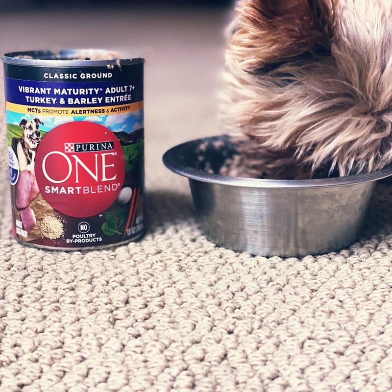 Purina one vibrant maturity dog food reviews best sale