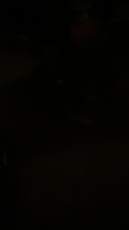 Review photo 5.