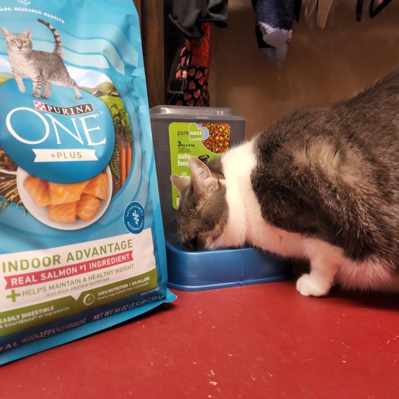 Purina ONE Natural Low Fat Indoor Dry Weight Control High Protein