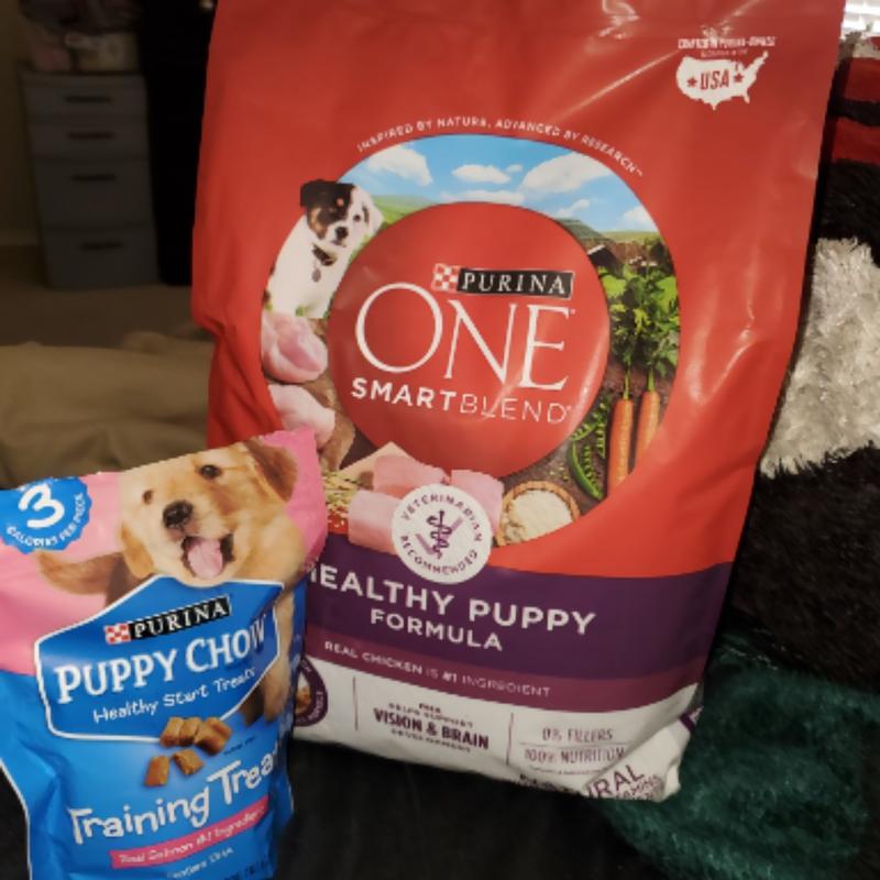 Purina ONE Plus Healthy Puppy Formula High Protein Natural Dry Puppy Food with added vitamins minerals and nutrients 16.5 lb. Bag Meijer