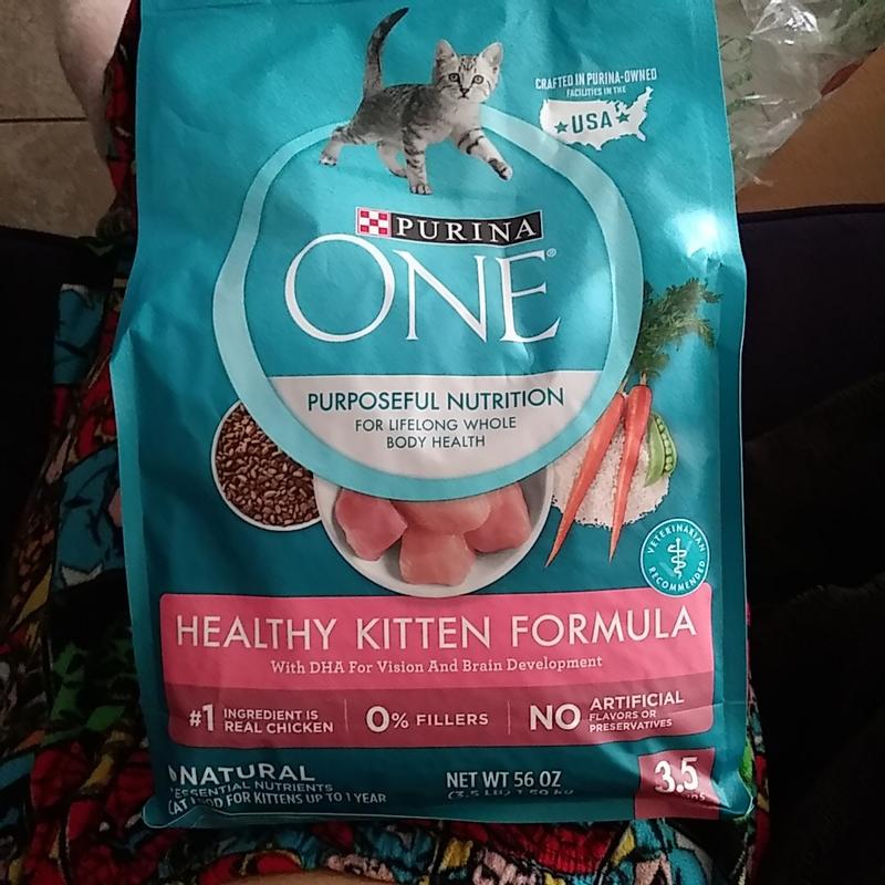 Healthy kitten outlet formula