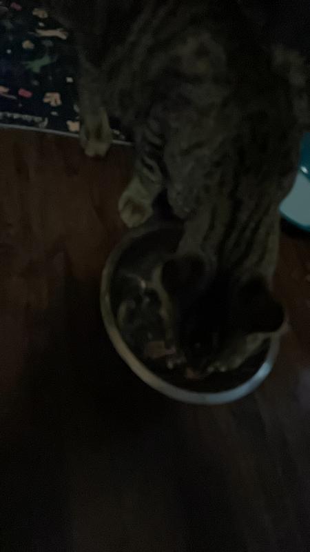 Review photo 2.
