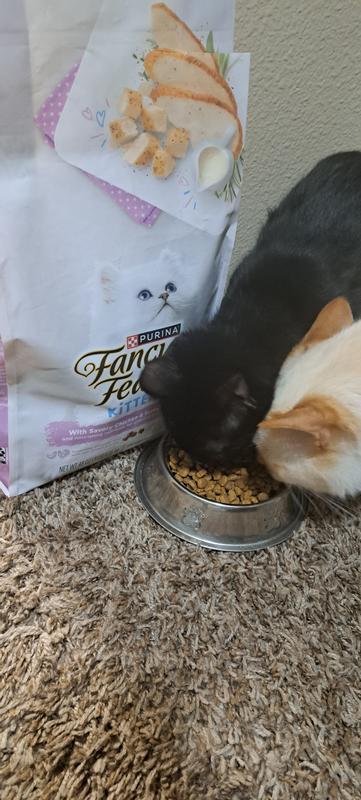 How much fancy feast to feed a kitten best sale