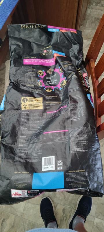 Review photo 2.
