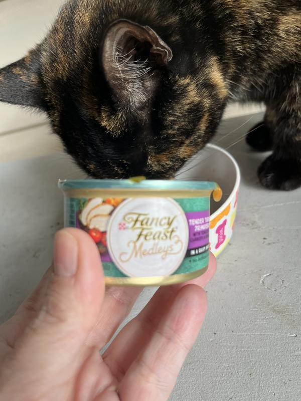 Purina Fancy Feast Wet Cat Food Medleys Tender Turkey Primavera