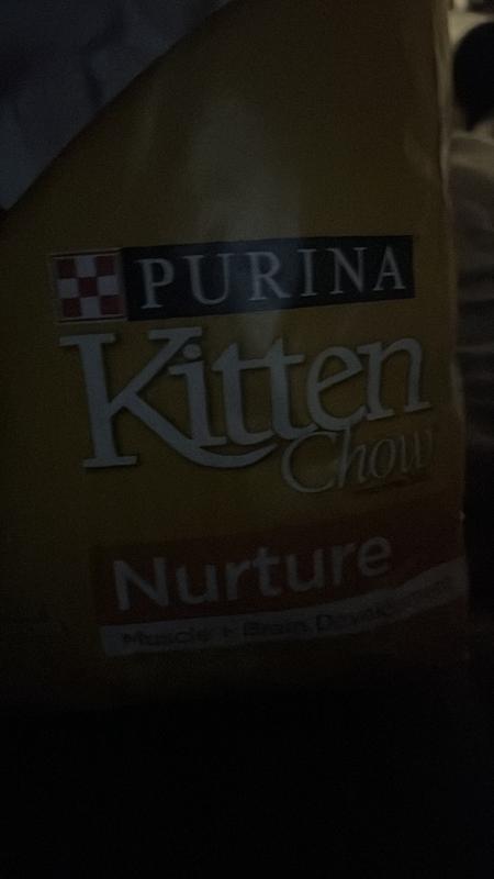 Purina Kitten Chow Dry Kitten Food Nurture 14 lb. Bag Meijer