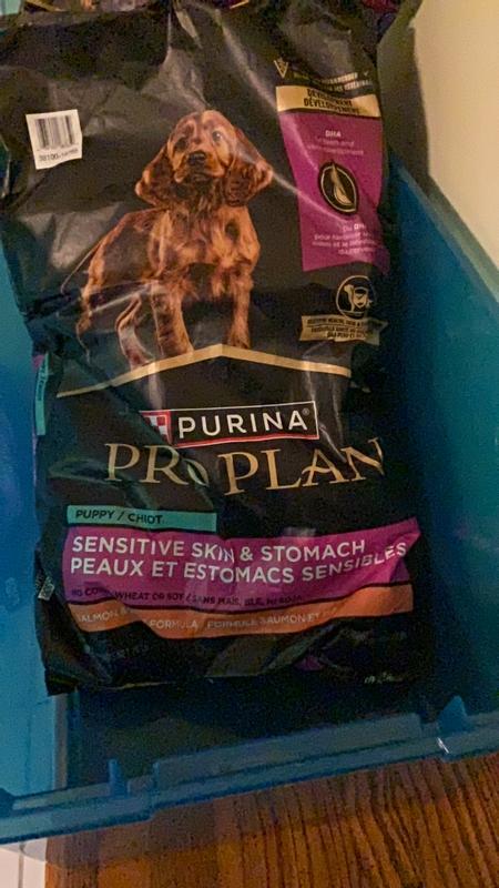 Pro Plan Puppy DevelopmentSensSkin StomachSalmon Rice7.26kg Ren s Pets