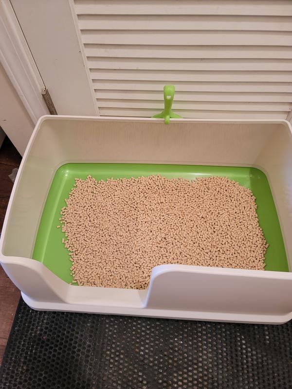 Tidy cats breeze clearance litter box hood