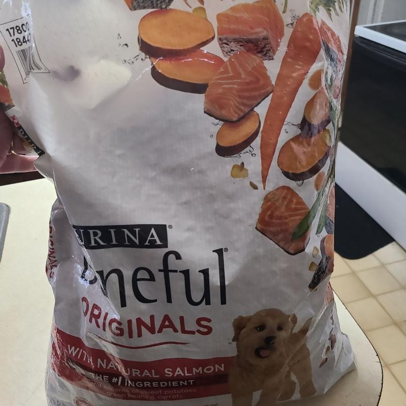 Beneful salmon clearance review