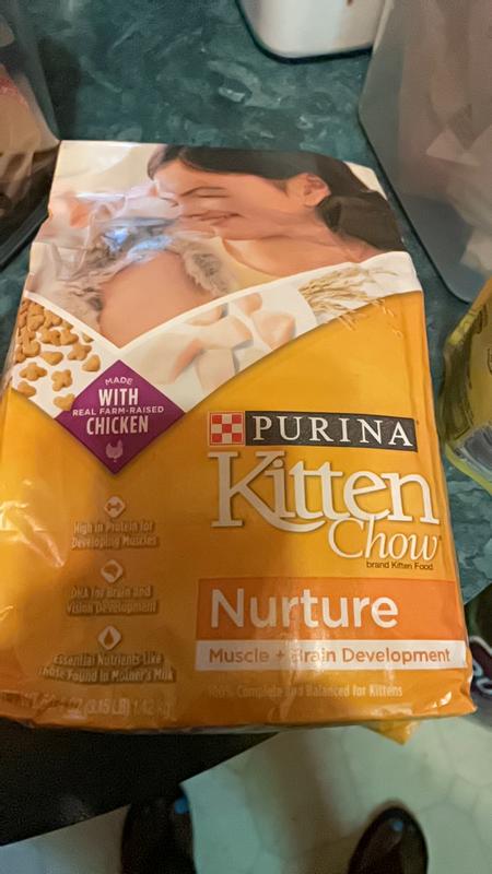 Purina Kitten Chow Nurture Healthy Development with Real Chicken Dry Kitten Food 3.15 lbs. Petco