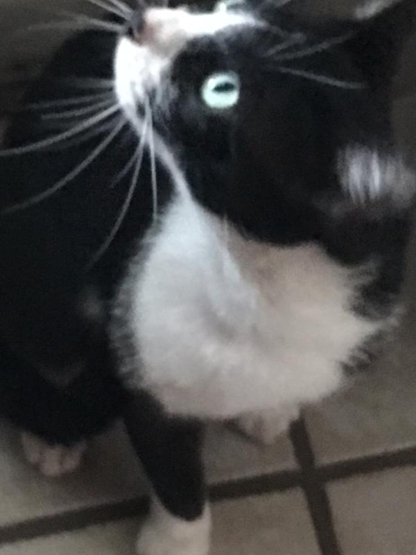 Ms. Charlie ( no more pictures,can was damaged