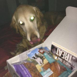 Addy with her new treats that came in mail!