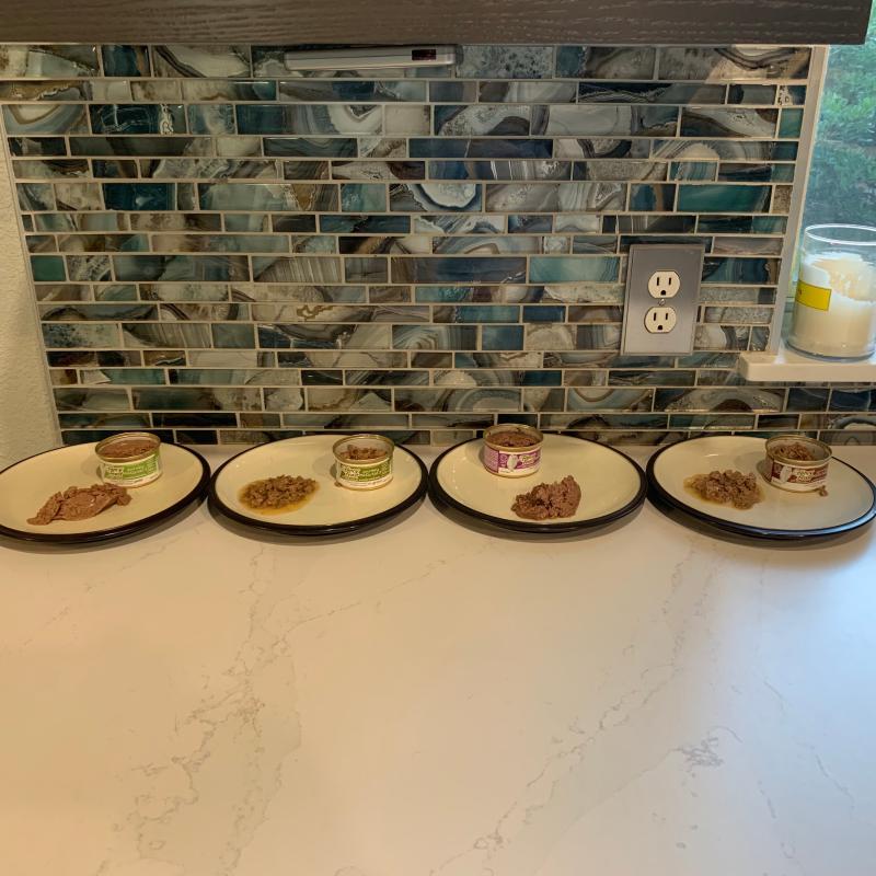 Samples from left to right: Chicken Pate, Chicken in Gravy, Beef Pate, Beef in Gravy.