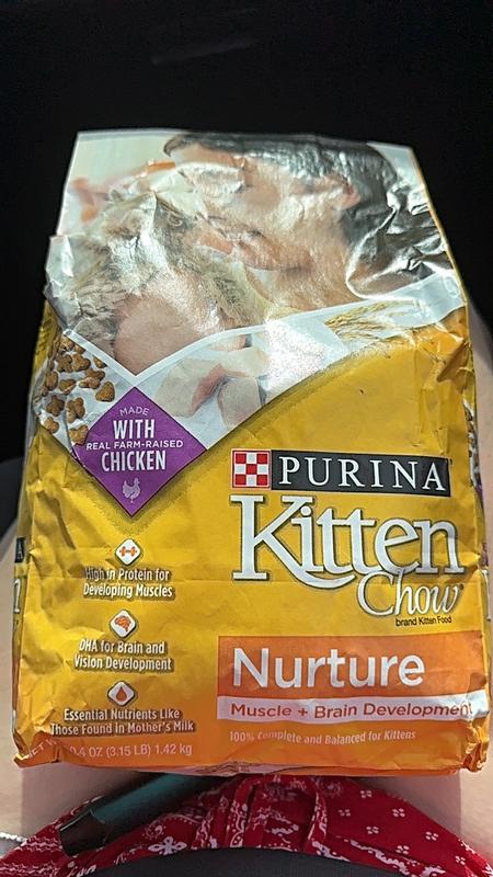 Purina Kitten Chow Dry Kitten Food, Nurture 14 Bag Meijer
