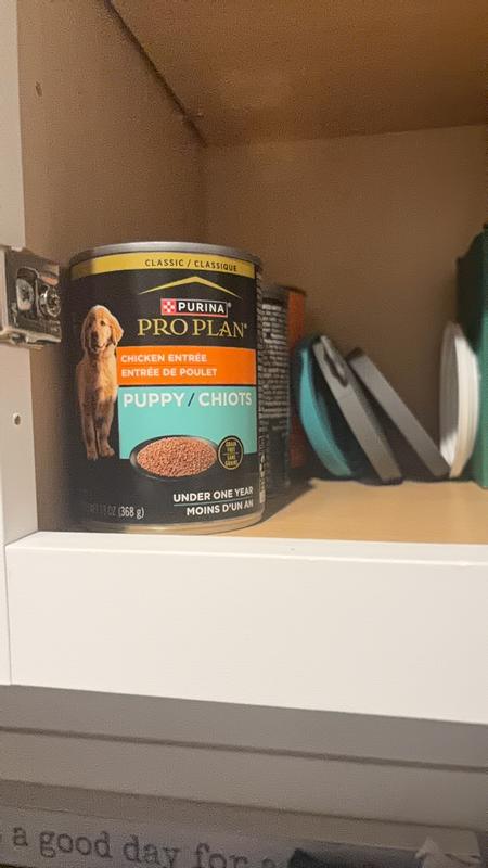 Review photo 1.