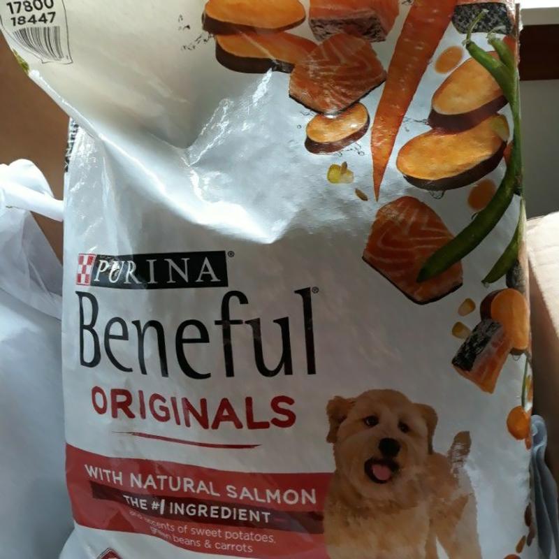 Beneful small bites clearance review