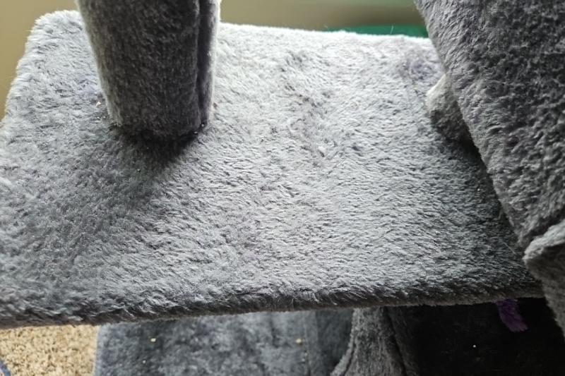 Review photo 3.